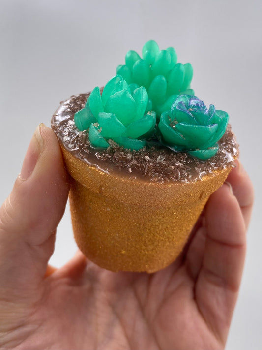 Succulent Pot Bath Bomb