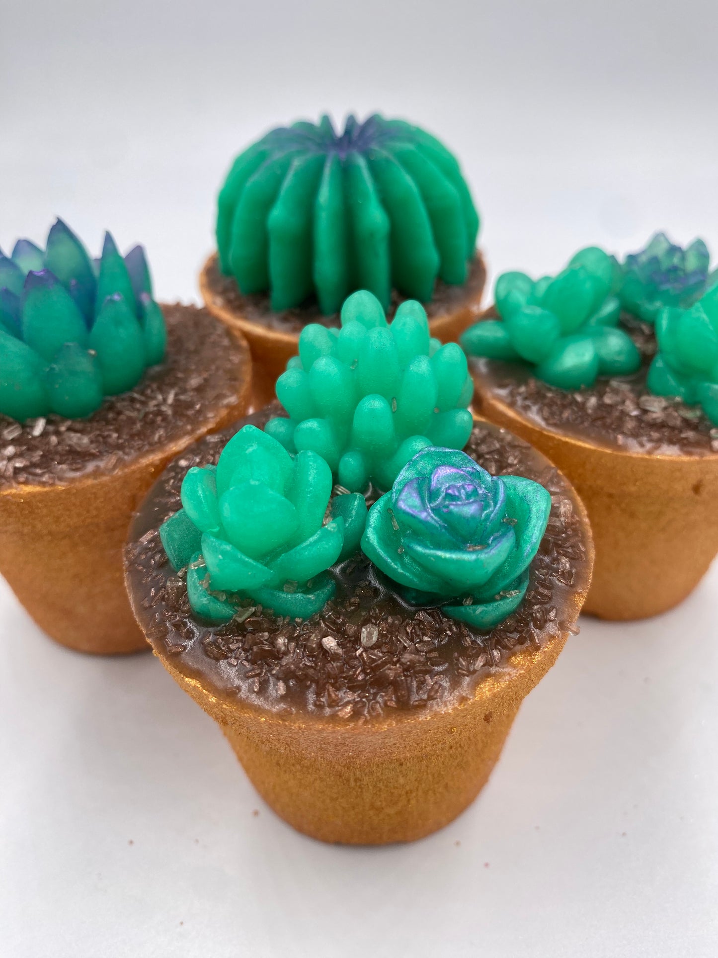 Succulent Pot Bath Bomb